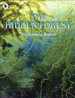 Hidden Forest (Big Book)