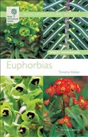 Euphorbias