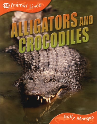 CROCODILES AND ALLIGATORS