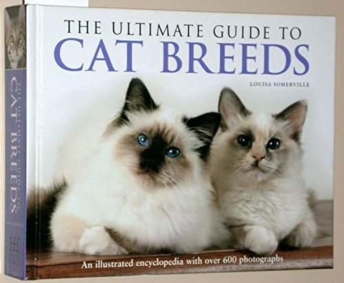 THE ULTIMATE GUIDE TO CAT BREEDS