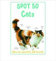 Spot 50 Cats