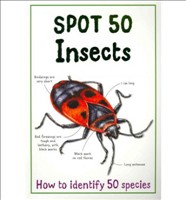 Spot 50 Insects