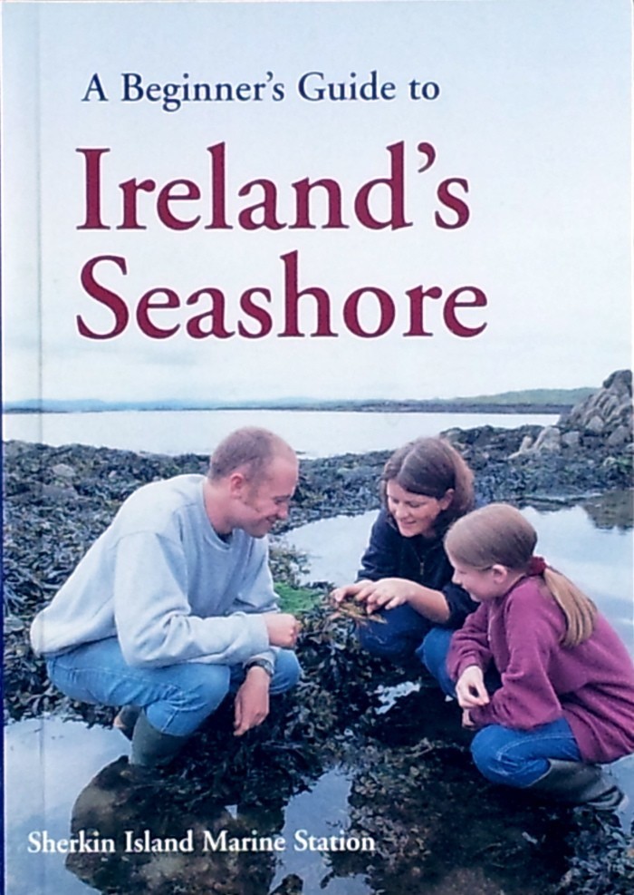 A BEGINNERS GUIDE TO IRELANDS SEASHORE