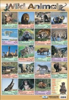 POSTER WILD ANIMALS