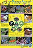 POSTER BUTTERFLIES