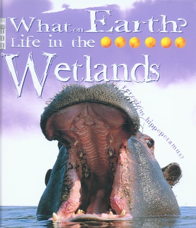 LIFE IN WETLANDS