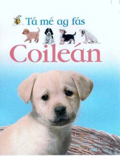 Ta Me Ag Fas Coilean