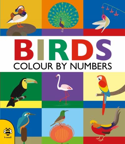 Birds Colouring By Numbers