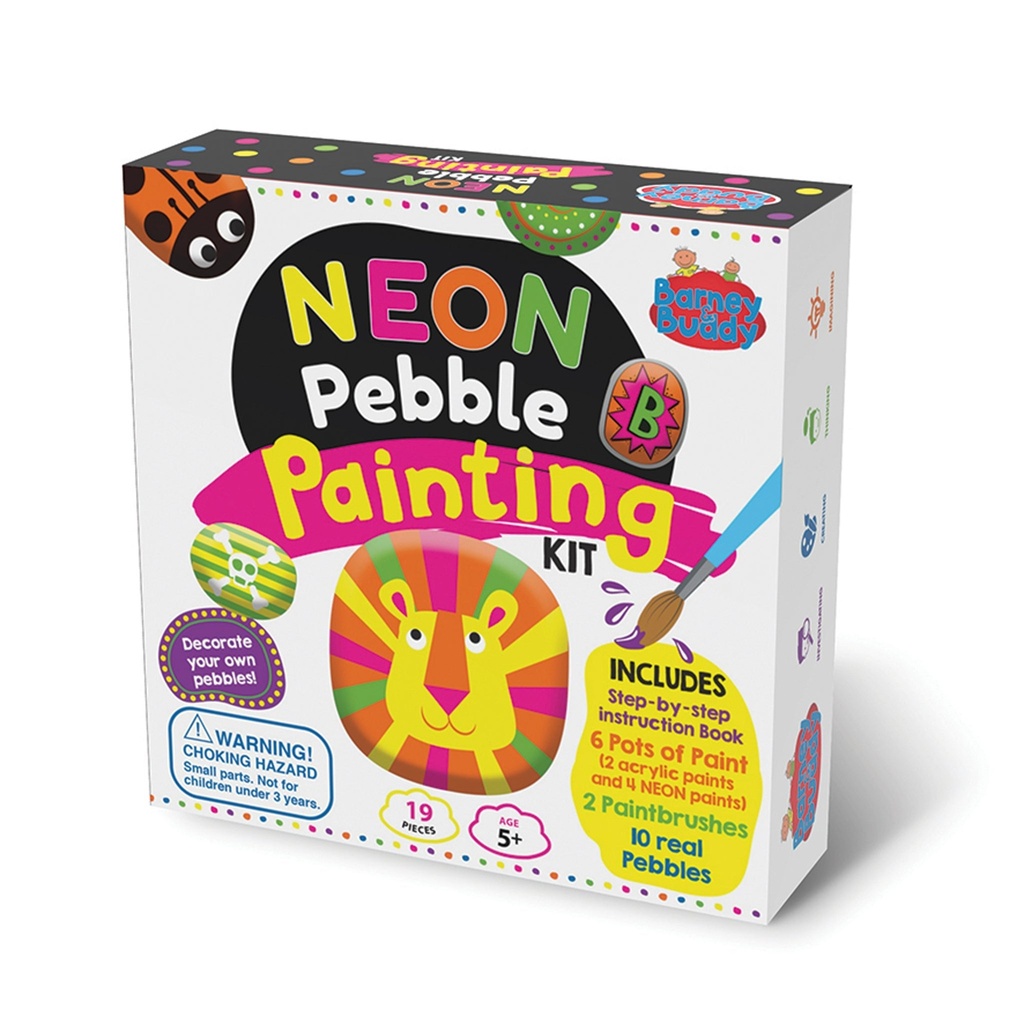 Neon Pebble Painting Kit