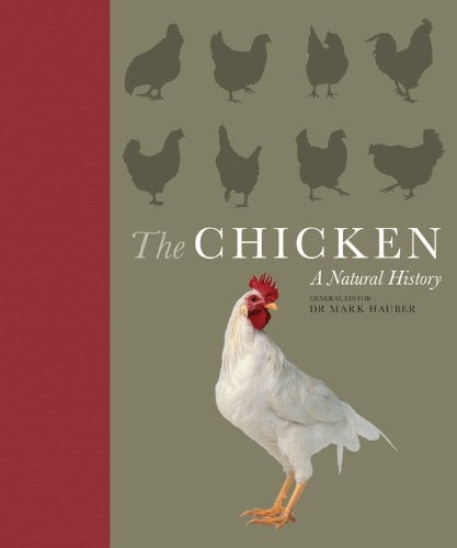 The Chicken A Natural History (Hardback)