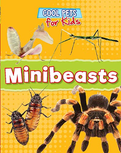 Cool Pets: Minibeasts