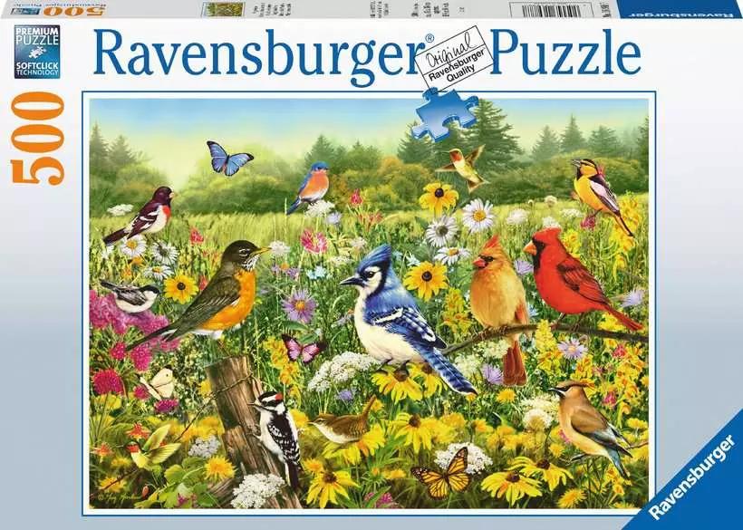 Birds in the Meadow 500pc