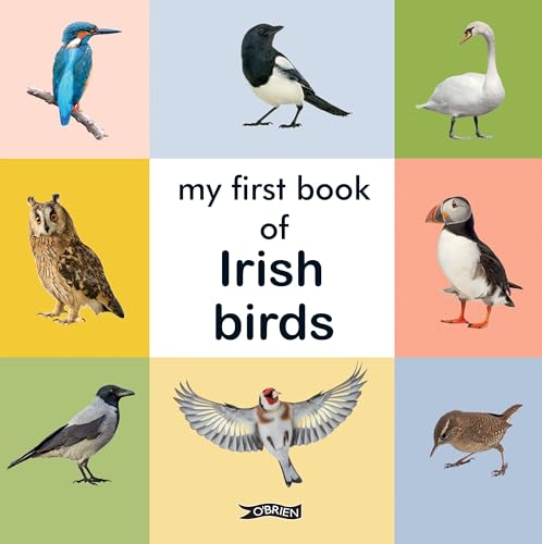 My First Book of Irish Birds