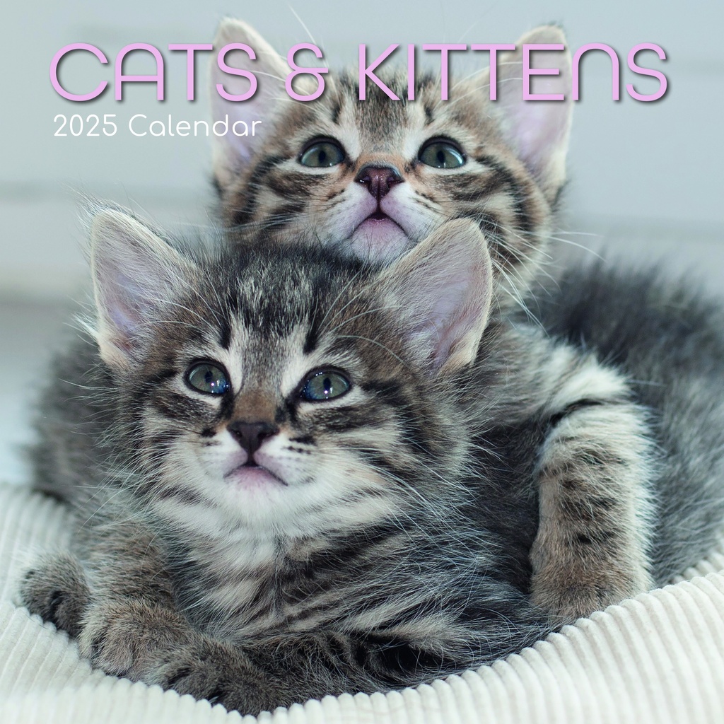 Calendar 2025 Square Wall - Cats & Kittens