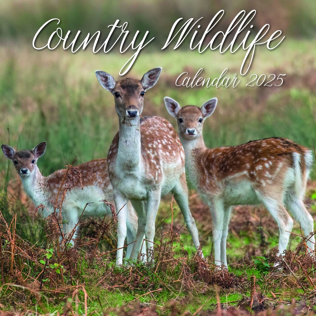 Calendar 2025 Square Wall - Country Wildlife