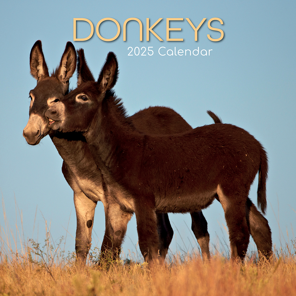 Calendar 2025 Square Wall - Donkeys