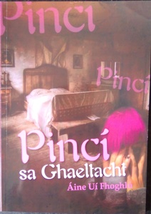 Pinci sa Ghaeltacht (2024 Edition)