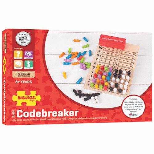 Code Breaker Bigjigs