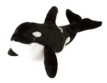 Orca Whale 54 Inch (Plush)