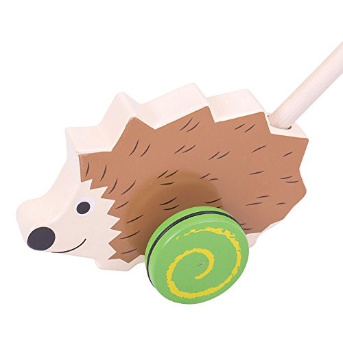 Hedgehog Push Along