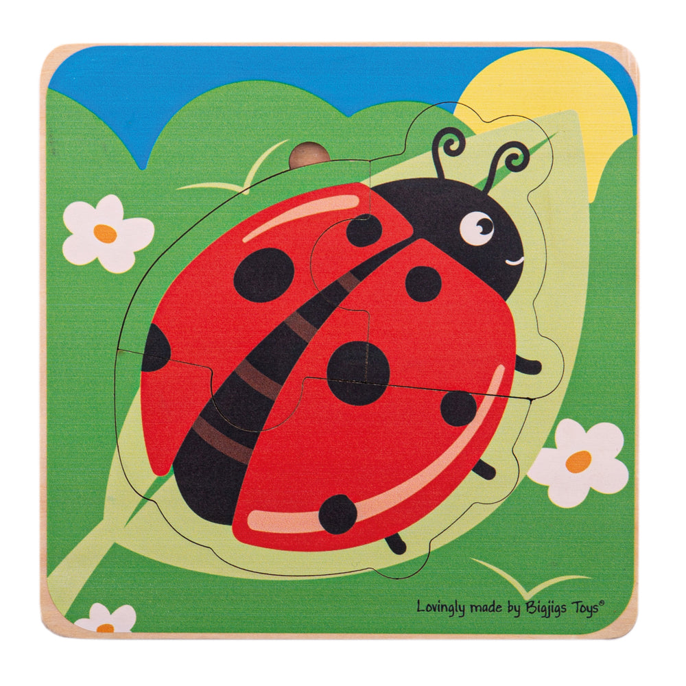 Lady bird puzzle