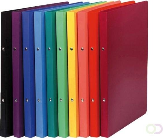 Ringbinder 15mm 54199E Exacompta