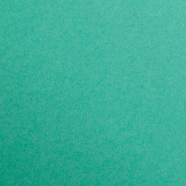 [DNU] Card 50x70cm (A2++) Dark Green 270gsm Clairefontaine