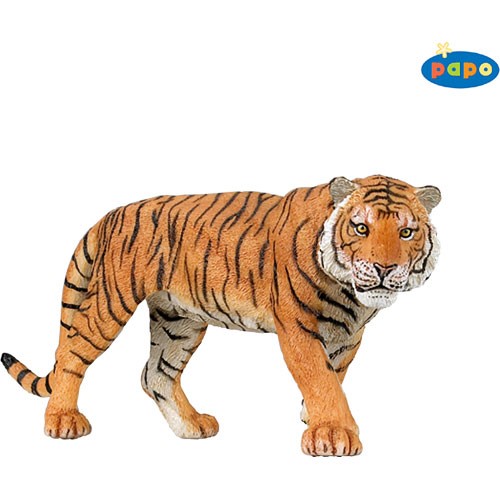 Tiger PAPO