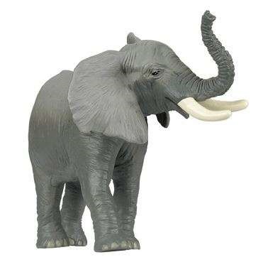 Trumpeting Elelphant PAPO