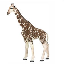 Giraffe PAPO