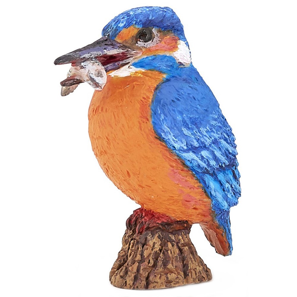 Common Kingfisher Papo