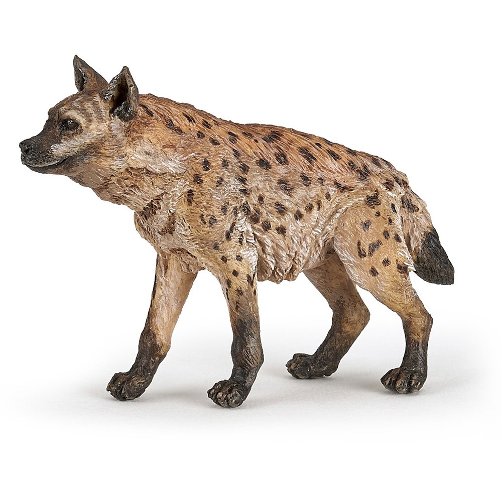 Hyena Papo