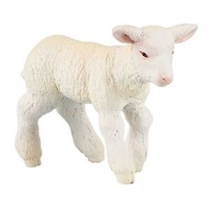 Merinos Lamb PAPO