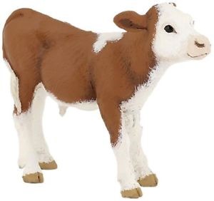 Simmental Calf PAPO