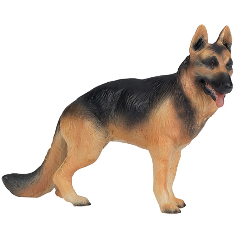 German Shepard PAPO