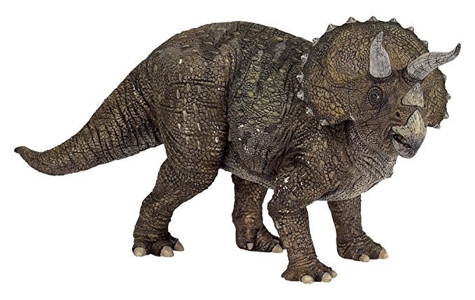 Triceratops PAPO