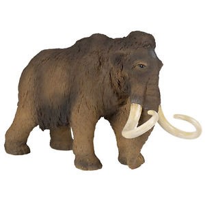 Mammoth PAPO