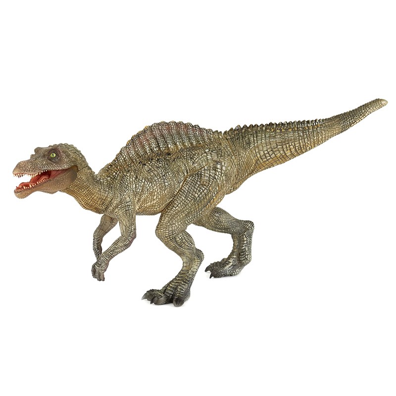 Young Spinosaurus PAPO