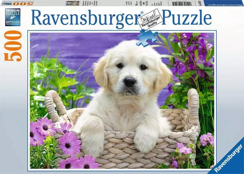 Puzzle 500pc - Sweet Golden Retriever