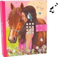 Diary Mis Melody With Code Meadow