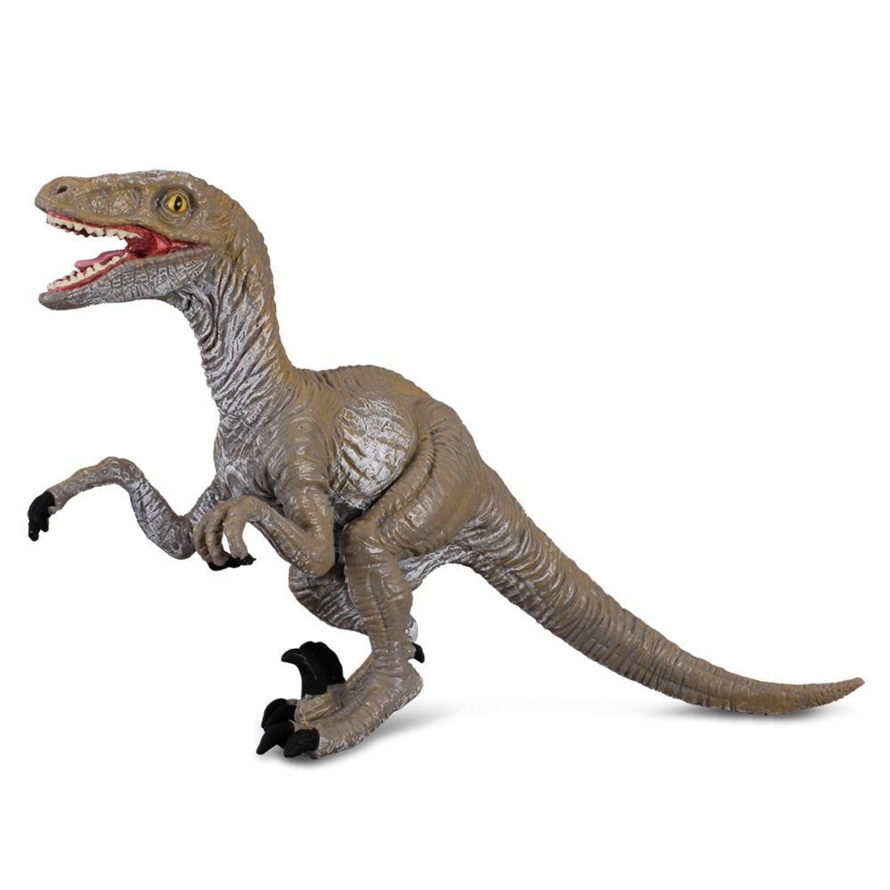 Velociraptor Dinosaur