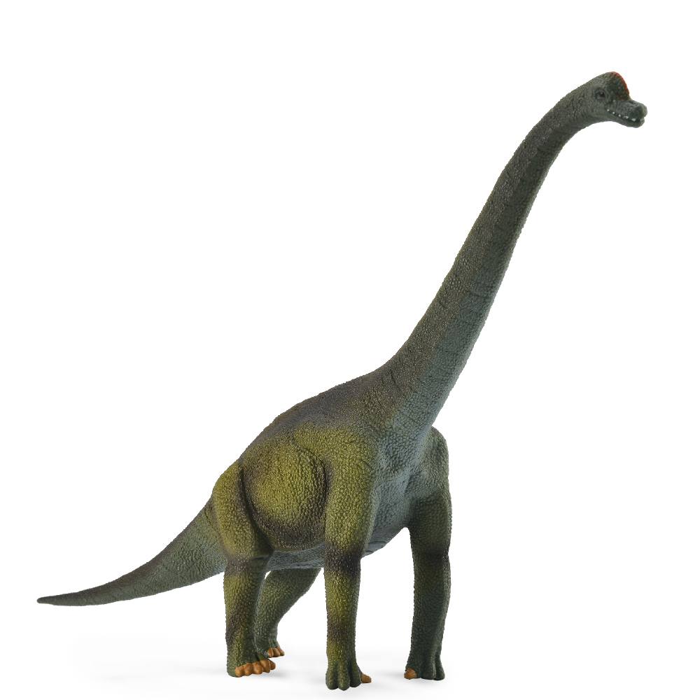 Dinosaur Brachiosaurus