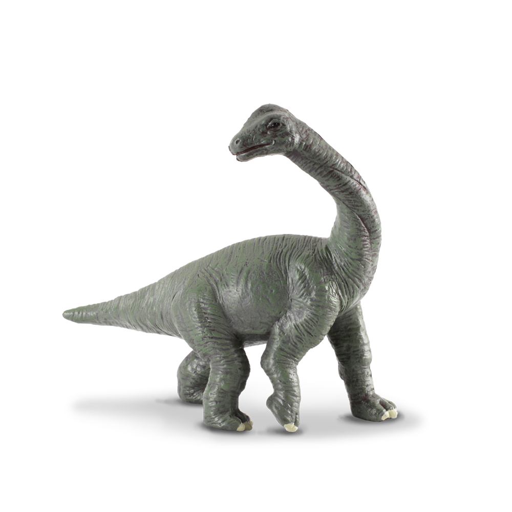 Baby Dinosaur Brachiosaurus