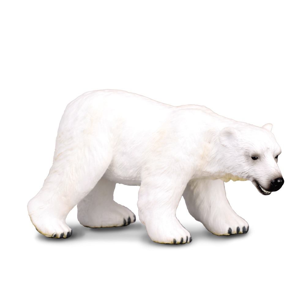 Polar Bear Big