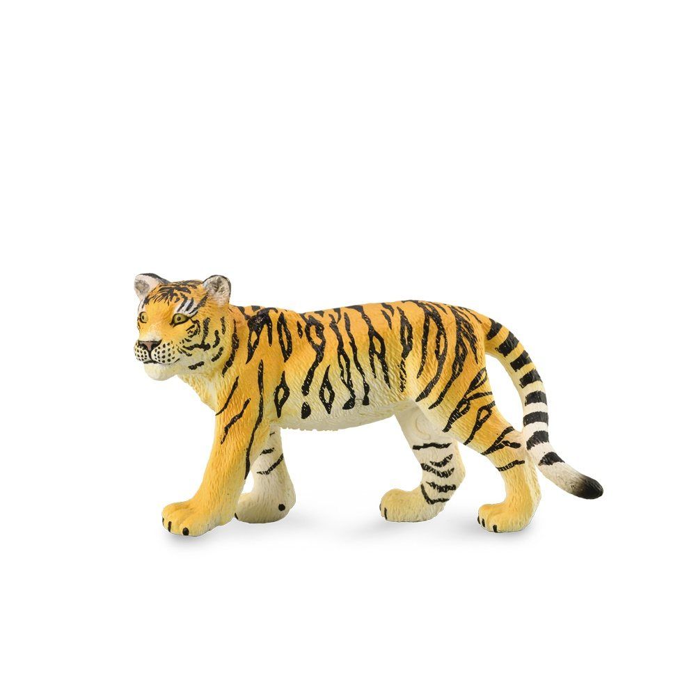 Tiger Cub