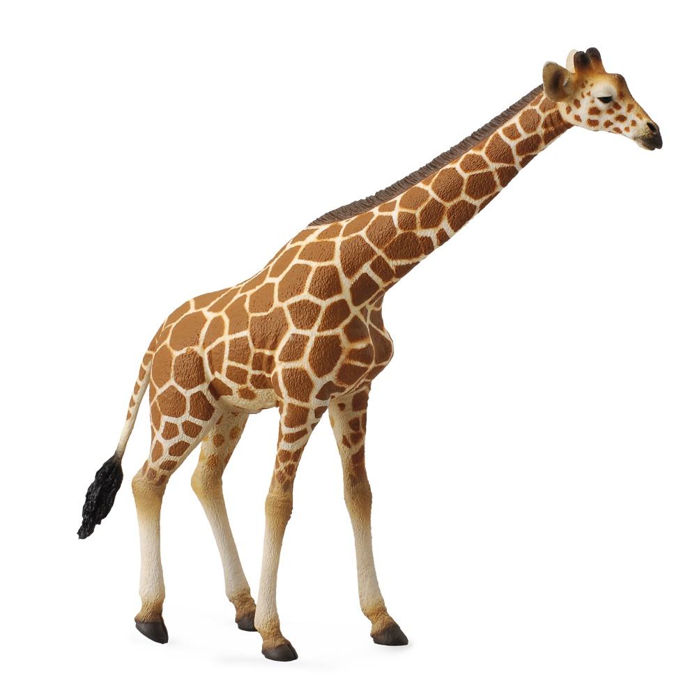 Giraffe Large