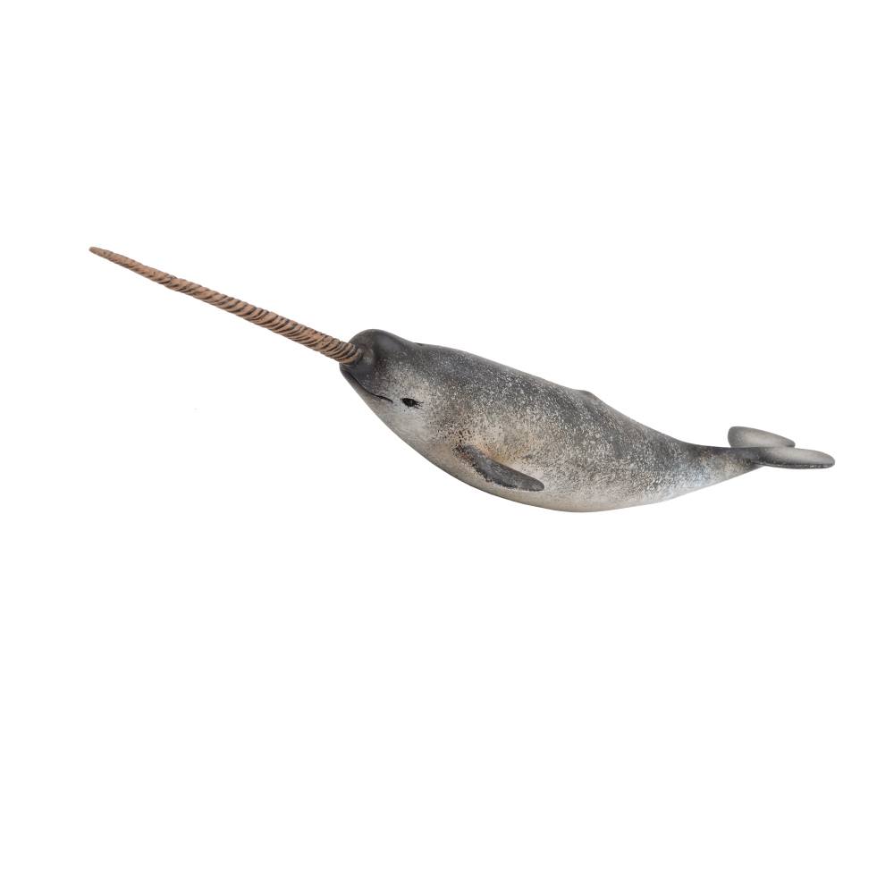 Whale Large Narwhal