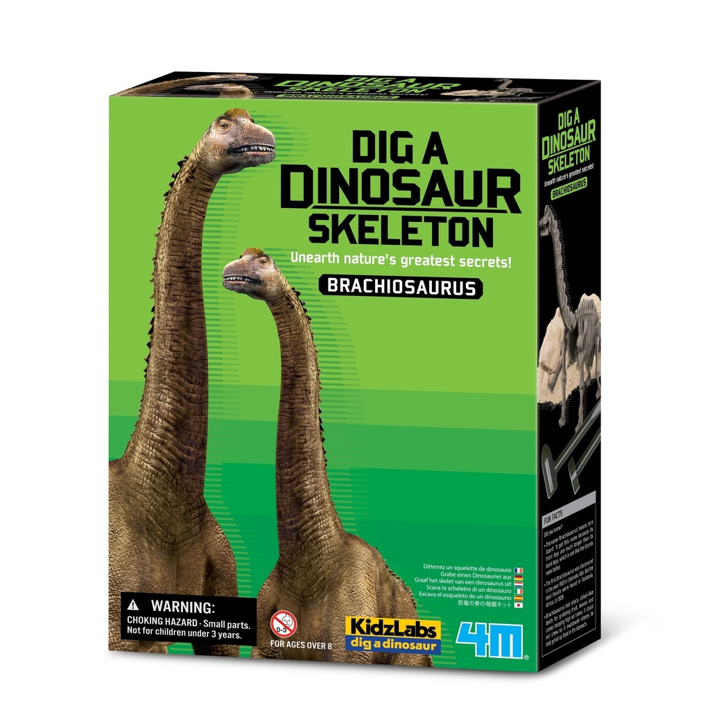 Dig a Dinosaur Skeleton Brachiosaurus