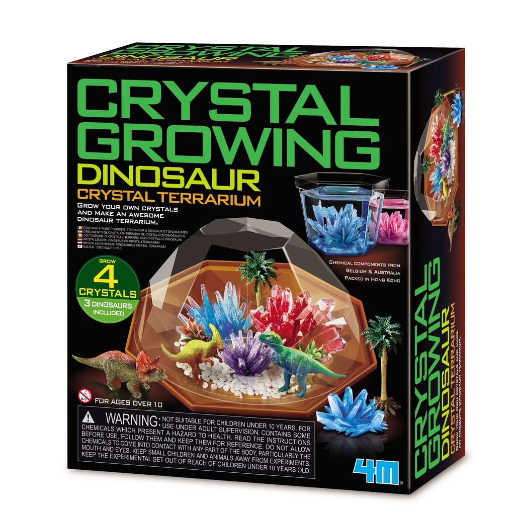 Crystal Growing Dinosaur Terrarium