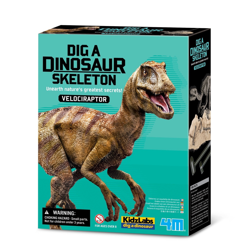 Dig a Dinosaur Skeleton Velociraptor